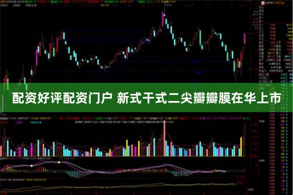 配资好评配资门户 新式干式二尖瓣瓣膜在华上市