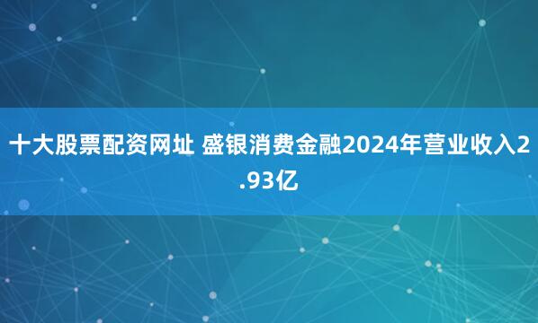 十大股票配资网址 盛银消费金融2024年营业收入2.93亿
